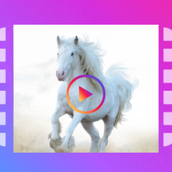 Video Downloader